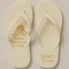 Chinelo de dedo Corporativo Bege Solaris Group