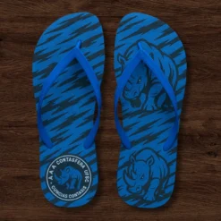 Chinelo de dedo Atlética Azul Listrado Contasfera